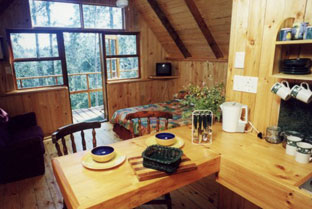 Fern Gully Forest Cabins - Breakfast nook