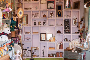 Cornucopia of curiosities - A wall of collectables 